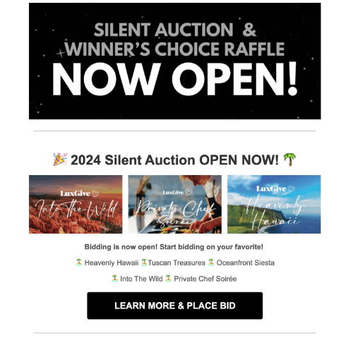 November 2024 - 🎉 🎟️ Silent Auction and Raffle NOW OPEN!